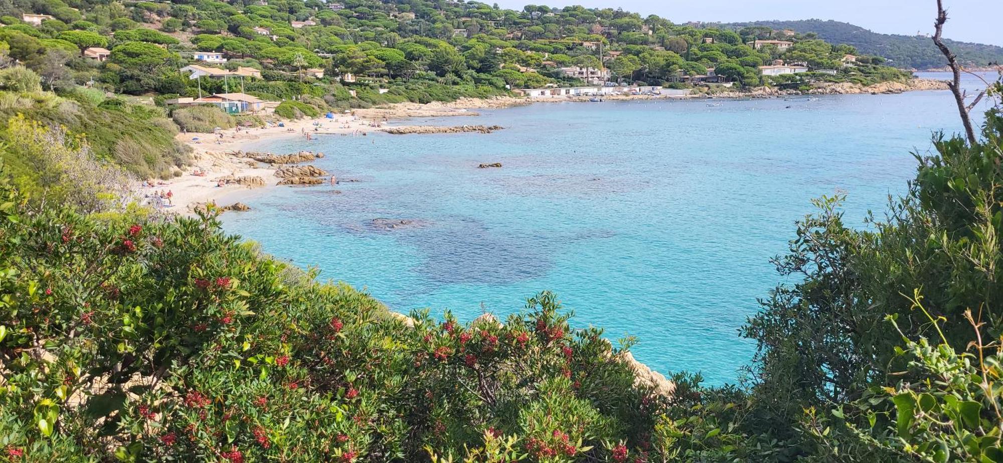 L'Aloe Vera Le Plan-de-la-Tour ภายนอก รูปภาพ